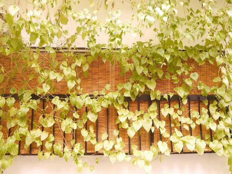 Holiday home Serendipity At Kyoto